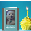 Search for humour birthday cards Dog
