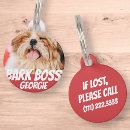 Search for dog tags Funny