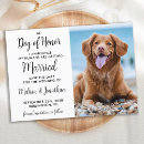 Search for dog wedding save the dates Modern