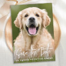 Search for dog wedding save the dates Modern