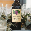 Search for grapevines Purple grapes