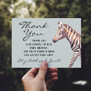 Search for baby zebra Zoo