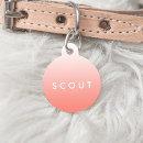 Search for pet tags chic