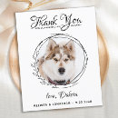 Search for pet thank you cards Simple