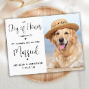 Search for with rsvp wedding save the dates Simple