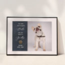 Search for pet memorials Remembrance
