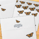 Search for butterfly envelopes Pattern