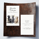 Search for walking standard business cards Veterinarian