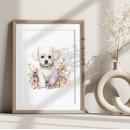 Search for bichons posters Pet