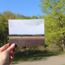 Search for midwestern postcards Farm