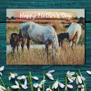 Search for horse mothers day cards Mare