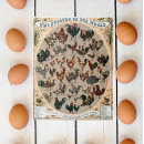 Search for chicken puzzles Animals