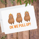 Search for capybara cards Meme