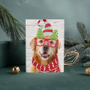 Search for golden retriever christmas cards Funny