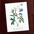 Search for victorian floral postcards Retro