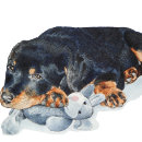 Search for teddy pet supplies For pets