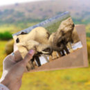 Search for animal face postcards African