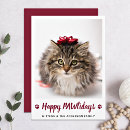 Search for happy pawlidays cards Cat