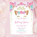 Search for kitty cat birthday Kitten