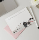 Search for cats are like potato chips Crazy cat lady