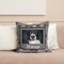 Search for dog cushions modern
