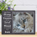 Search for loss sympathy quotes For pets