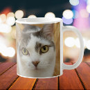 Search for cat magic mugs trendy