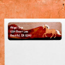 Search for wild horses return address labels Pony