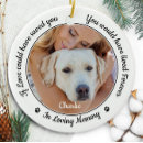 Search for pet supplies Sympathy