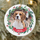 Search for dog christmas Pet