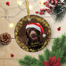 Search for dog christmas Xmas