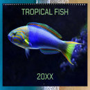 Search for aquarium office supplies Colourful