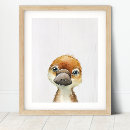 Search for platypus Animals