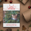 Search for cat pun christmas cards Red