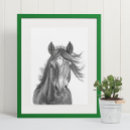 Search for animal portraits posters Horse