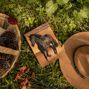 Search for horse postcards Beautiful