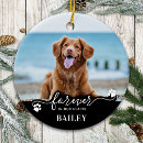 Search for photo pet memorials In loving memory