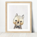 Search for wombat Animals