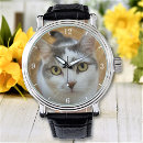 Search for watches pet