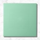 Search for seafoam green tiles Trendy