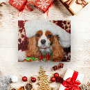 Search for cavalier king charles spaniel puzzles Canine