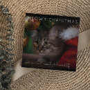 Search for meowy christmas cards Humour