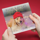 Search for furry and bright christmas cards Funny