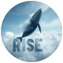Search for rises tshirts World