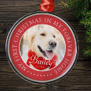 Search for pet christmas tree decorations Holiday season