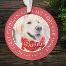 Search for dogs 1st christmas tree decorations Pet