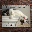 Search for funny calendars Kitty