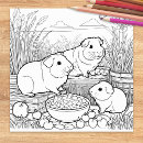 Search for cute pig art Guinea pigs