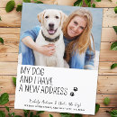 Search for my dog invitations New address
