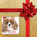 Search for cavalier king charles stickers Cute
